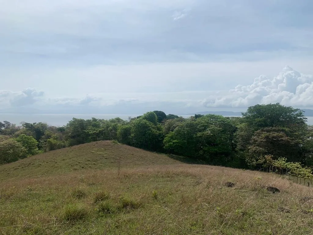 INCREIBLE PROPIEDAD DE 3 HECTAREAS (7.41 ACRES) FRENTE AL MAR EN VENTA, EN SANTA CATALINA, VERAGUAS.