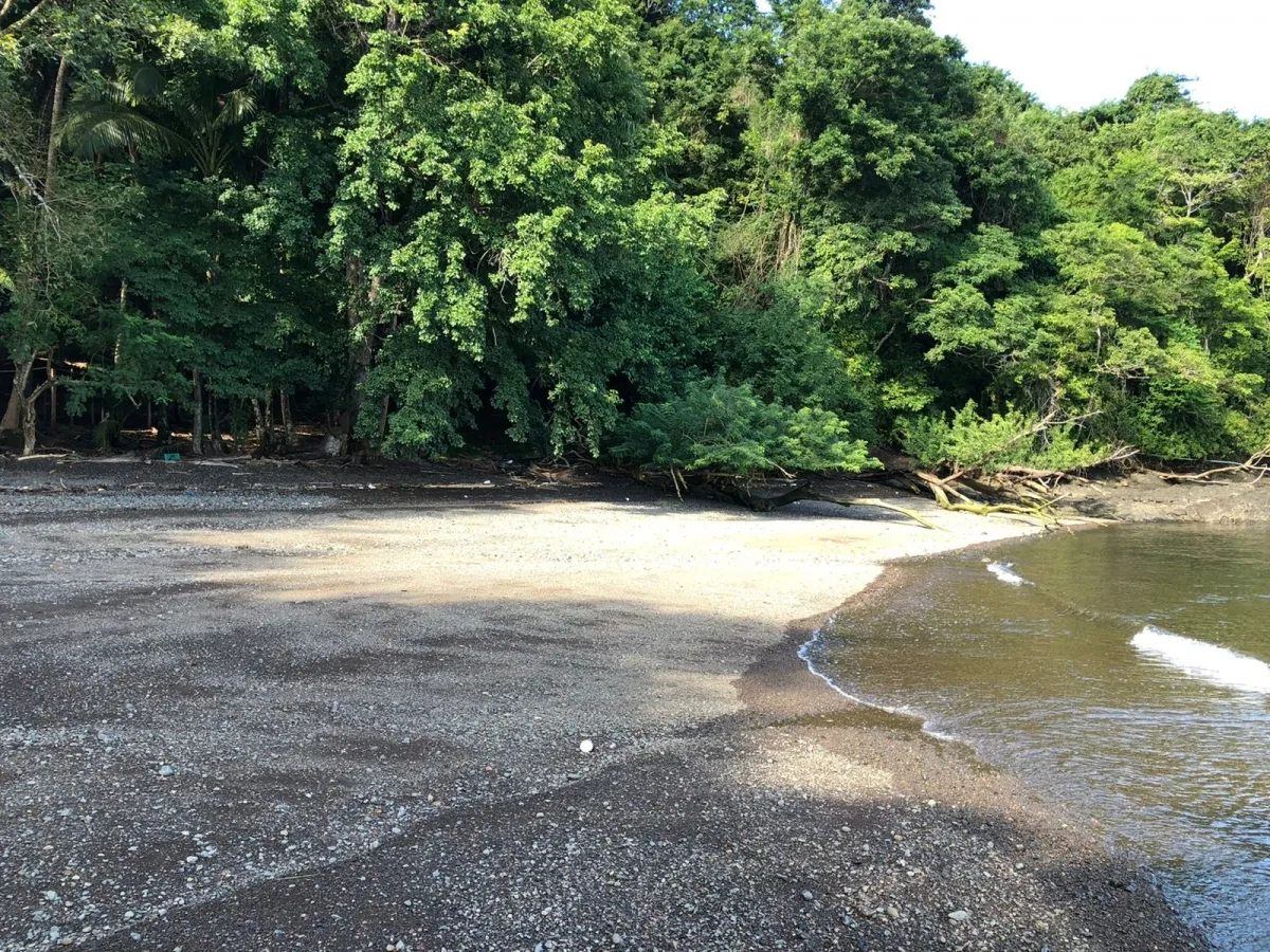 PROPIEDAD EN VENTA EN ISLA GOBERNADORA, VERAGUAS. 1,2 HECTÁREAS (2,96 ...