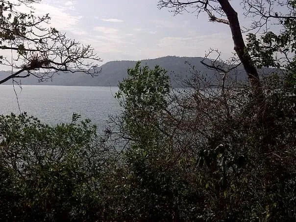 PROPIEDAD EN VENTA EN ISLA GOBERNADORA, VERAGUAS. 1,2 HECTÁREAS (2,96 ACRES). PROPIEDAD FRENTE AL MAR.