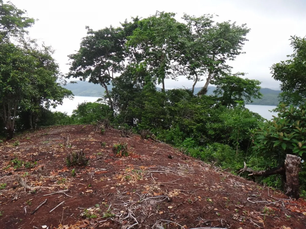 PROPIEDAD EN VENTA EN ISLA GOBERNADORA, VERAGUAS. 1,2 HECTÁREAS (2,96 ACRES). PROPIEDAD FRENTE AL MAR.