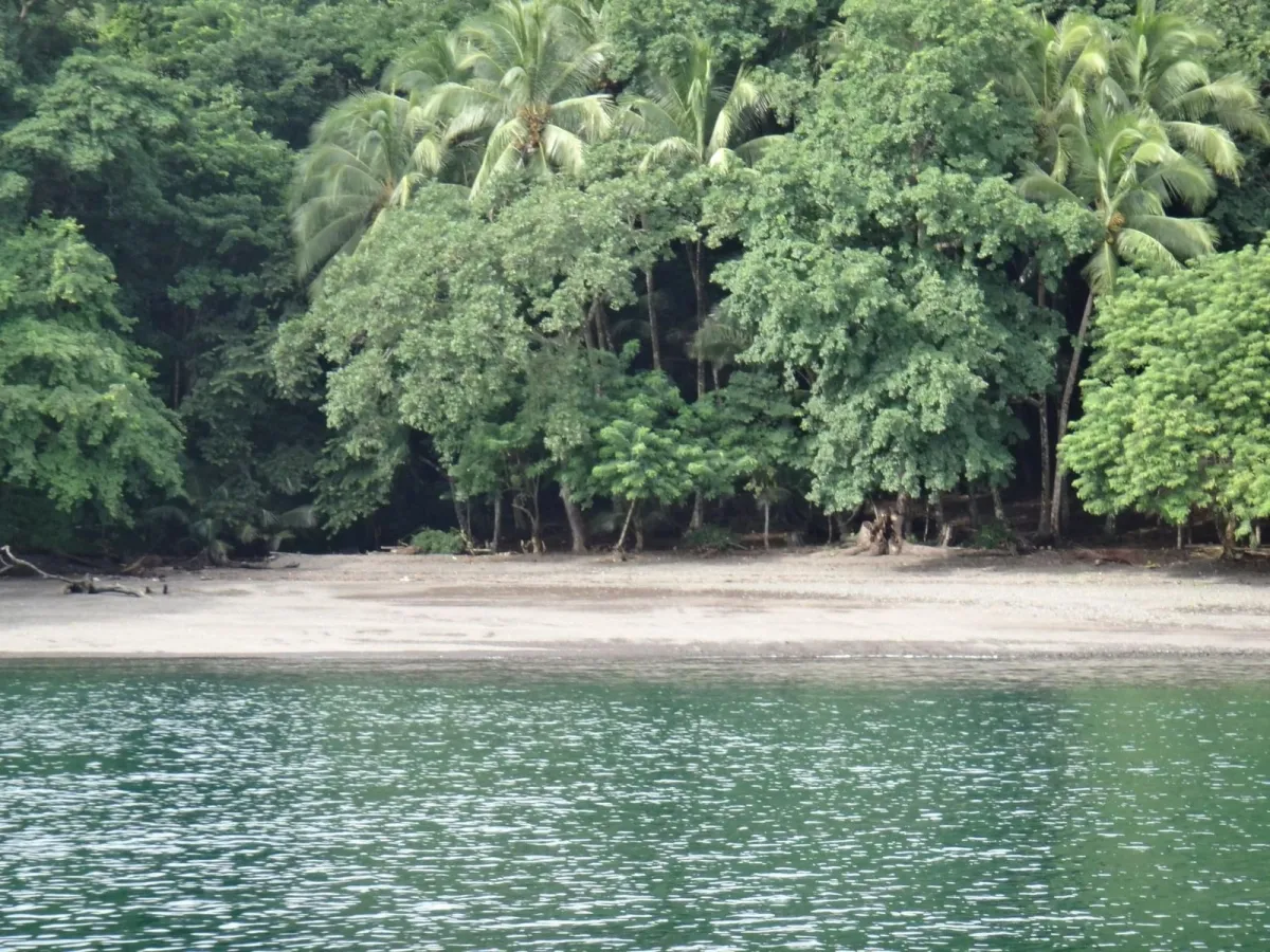 PROPIEDAD EN VENTA EN ISLA GOBERNADORA, VERAGUAS. 2.5 HECTÁREAS (6.17 ...