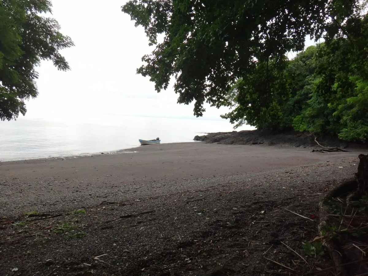 PROPIEDAD EN VENTA EN ISLA GOBERNADORA, VERAGUAS. 2.5 HECTÁREAS (6.17 ...