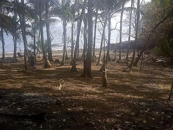PROPIEDAD EN VENTA EN ISLA GOBERNADORA, VERAGUAS. 2.5 HECTÁREAS (6.17 ...