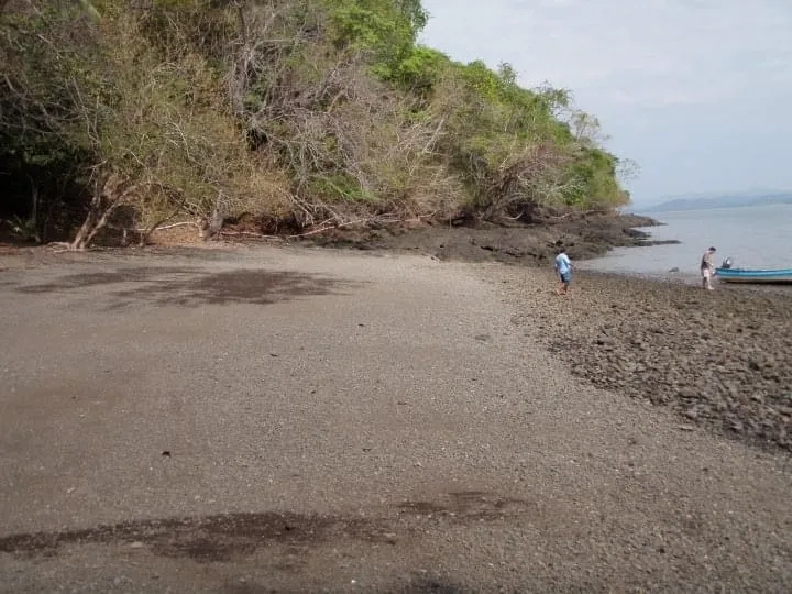 PROPIEDAD EN VENTA EN ISLA GOBERNADORA, VERAGUAS. 2.5 HECTÁREAS (6.17 ACRES).PROPIEDAD FRENTE AL MAR.