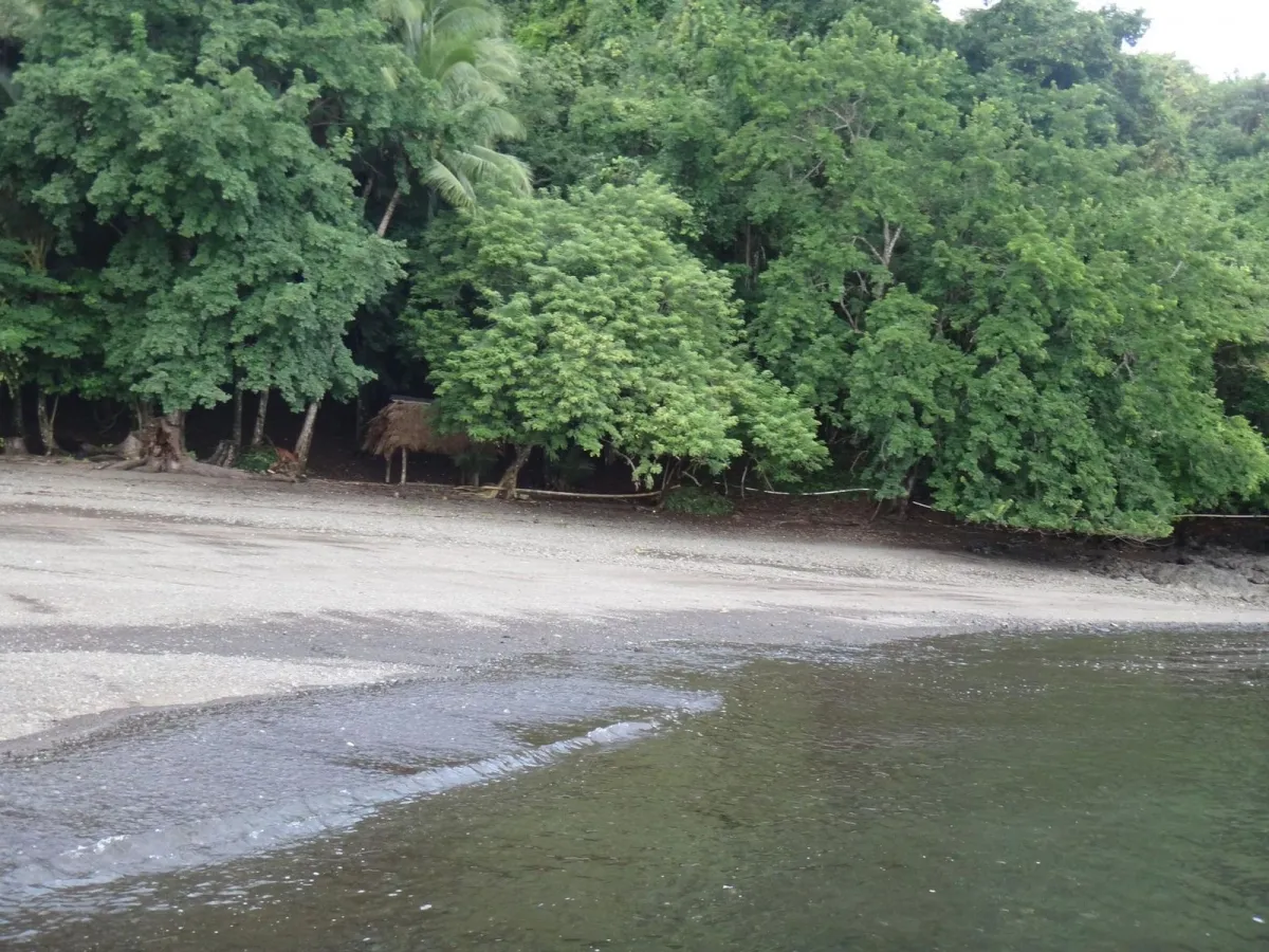PROPIEDAD EN VENTA EN ISLA GOBERNADORA, VERAGUAS. 2.5 HECTÁREAS (6.17 ACRES).PROPIEDAD FRENTE AL MAR.