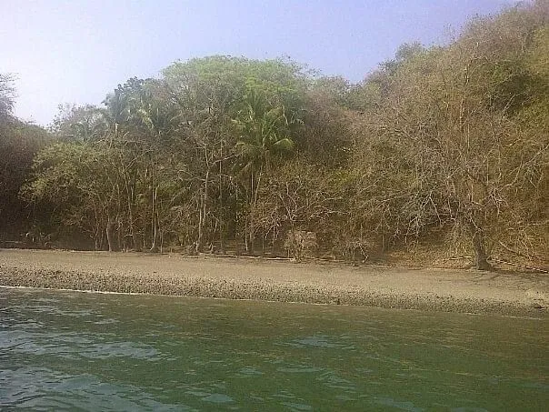PROPIEDAD EN VENTA EN ISLA GOBERNADORA, VERAGUAS. 2.5 HECTÁREAS (6.17 ACRES).PROPIEDAD FRENTE AL MAR.