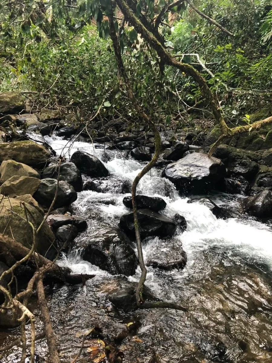 GRAN PROPIEDAD EN VENTA, EN SONA, VERAGUAS. 410 HECTÁREAS (1.013,13 AC...
