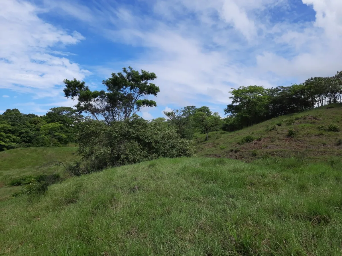 INCREÍBLE PROPIEDAD DE 3 HECTÁREAS EN VENTA, EN SANTA CATALINA, VERAGU...