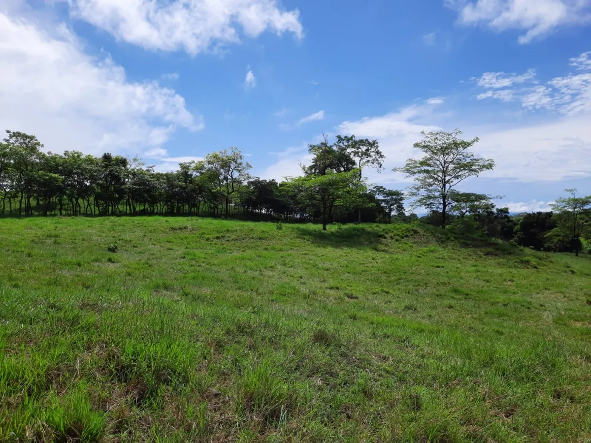 INCREÍBLE PROPIEDAD DE 3 HECTÁREAS EN VENTA, EN SANTA CATALINA, VERAGUAS.
