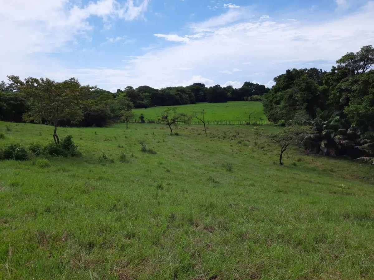 INCREÍBLE PROPIEDAD DE 3 HECTÁREAS EN VENTA, EN SANTA CATALINA, VERAGUAS.