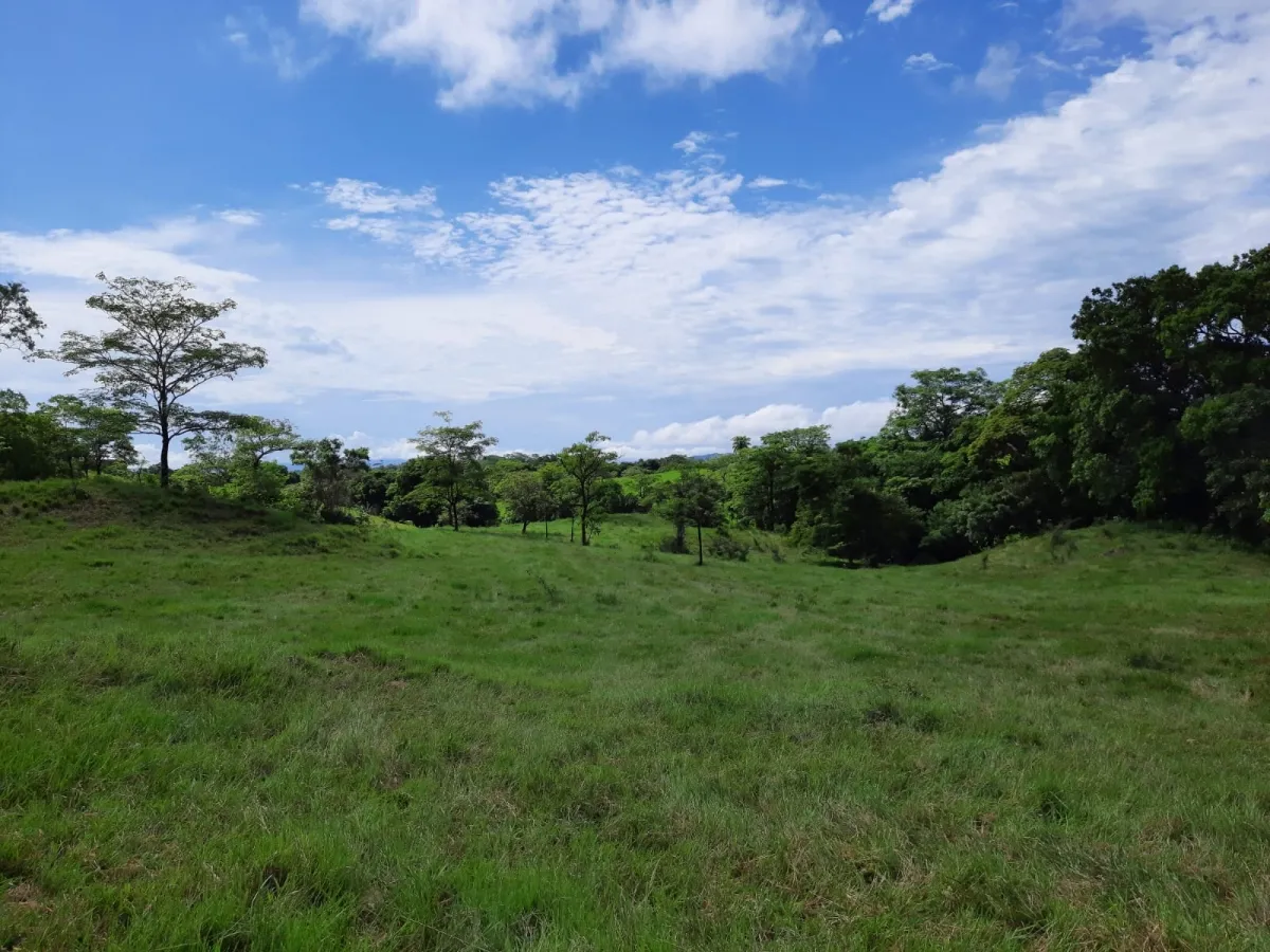INCREÍBLE PROPIEDAD DE 3 HECTÁREAS EN VENTA, EN SANTA CATALINA, VERAGUAS.