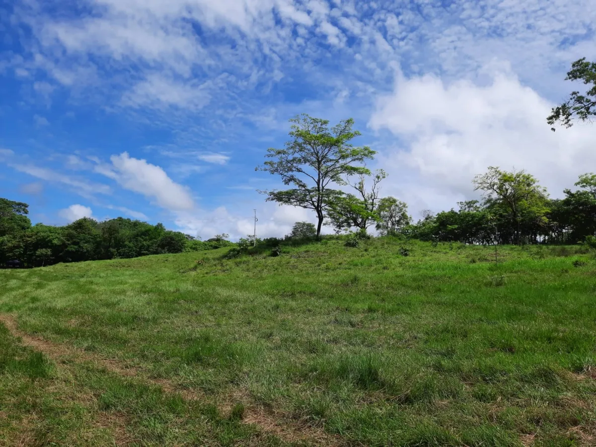 INCREÍBLE PROPIEDAD DE 3 HECTÁREAS EN VENTA, EN SANTA CATALINA, VERAGUAS.