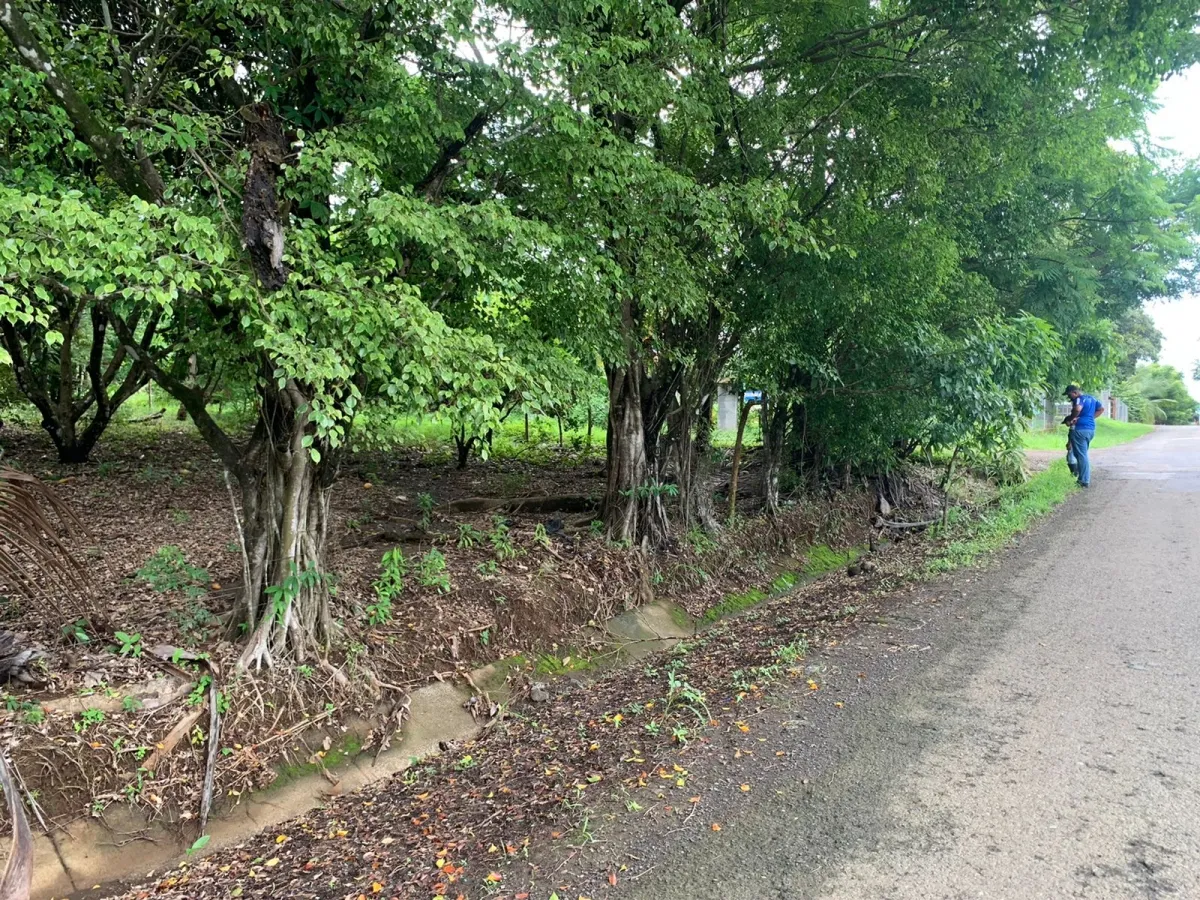 PROPIEDAD DE GRAN POTENCIAL A LA VENTA EN EL BORDE DE LA CALLE PRINCIPAL, EN HICACO, SANTA CATALINA, VERAGUAS. DE 13.000 METROS CUADRADOS (3,212 ACRES