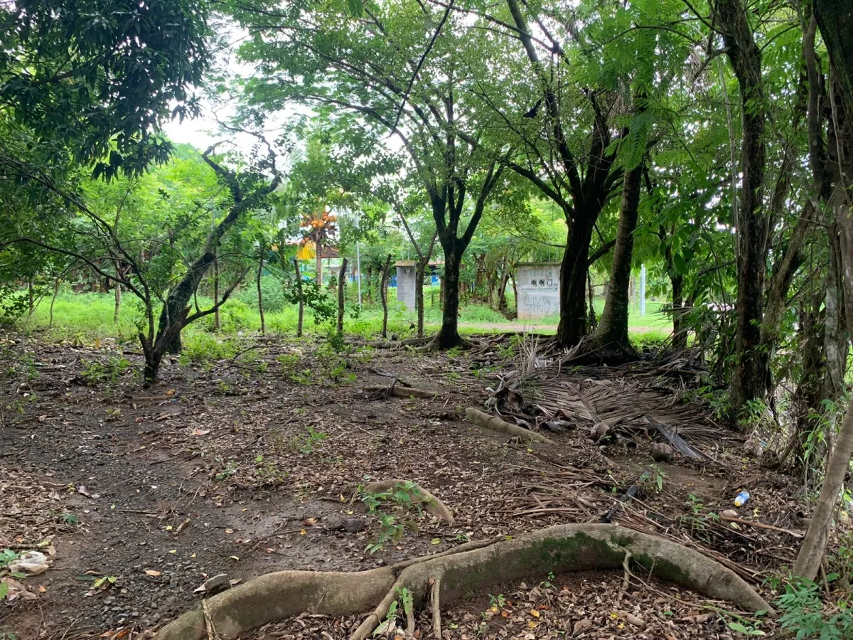 PROPIEDAD DE GRAN POTENCIAL A LA VENTA EN EL BORDE DE LA CALLE PRINCIPAL, EN HICACO, SANTA CATALINA, VERAGUAS. DE 13.000 METROS CUADRADOS (3,212 ACRES