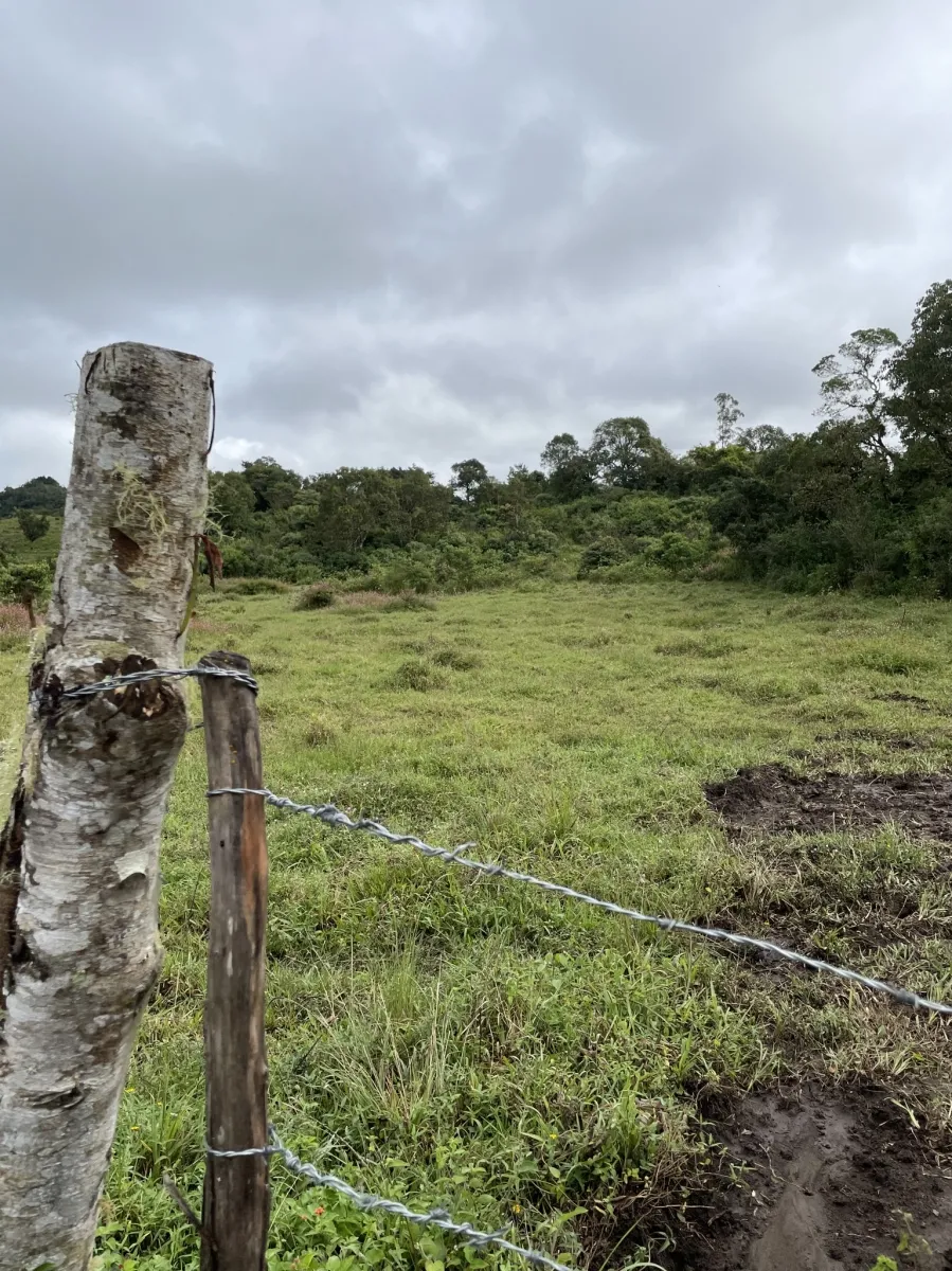 Terreno perfecto para un complejo familiar en el altiplano con vistas al Volcán