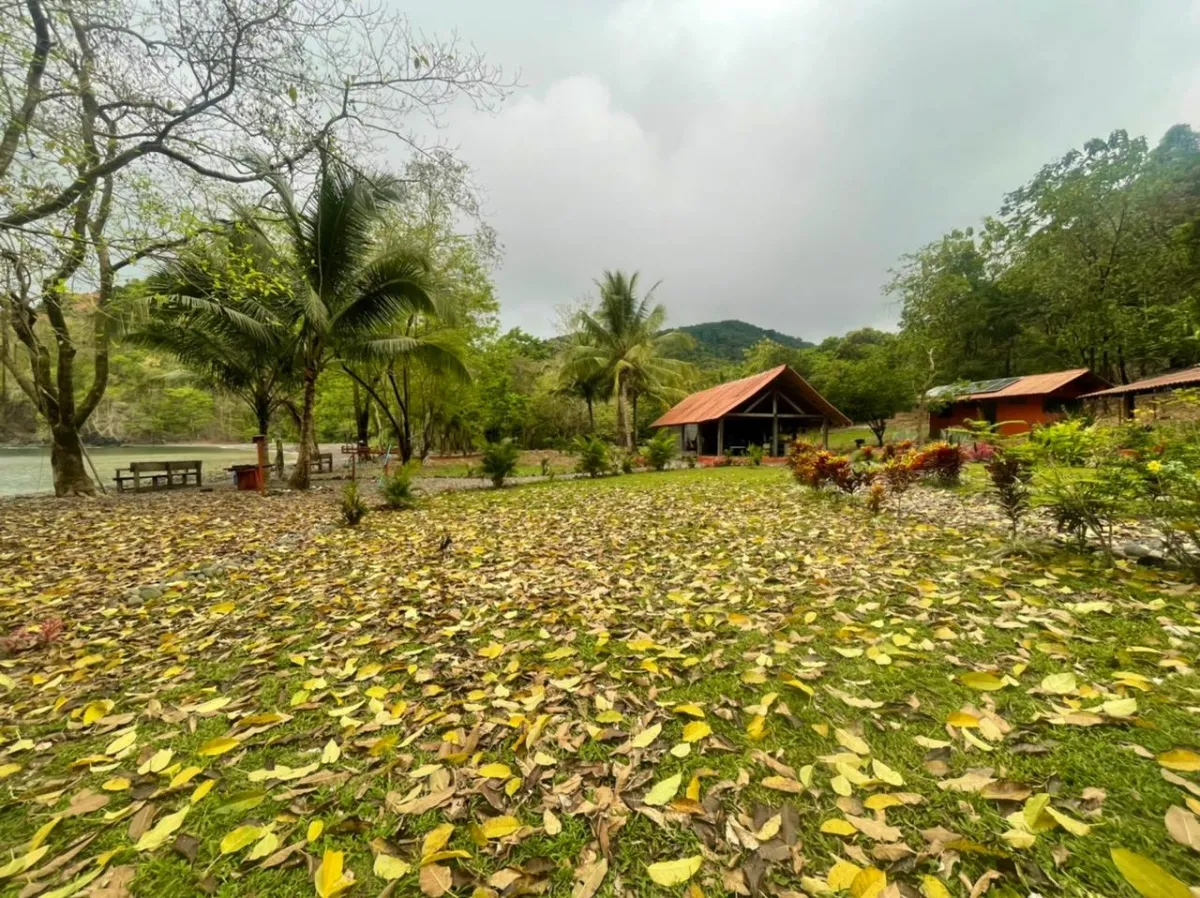 Propiedades de Bosque y Playa en Panamá para la venta; Mata Palo, Cerr...