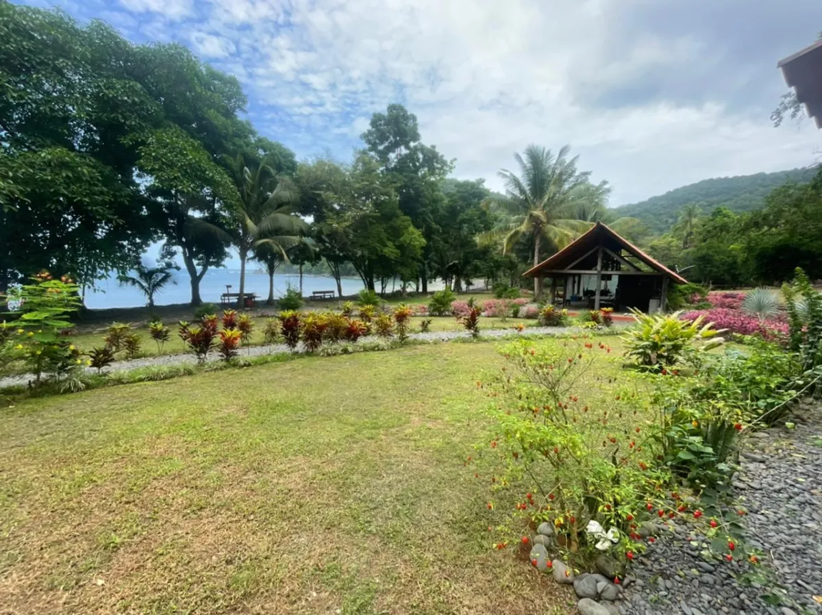 Propiedades de Bosque y Playa en Panamá para la venta; Mata Palo, Cerro Hoya. Veraguas.