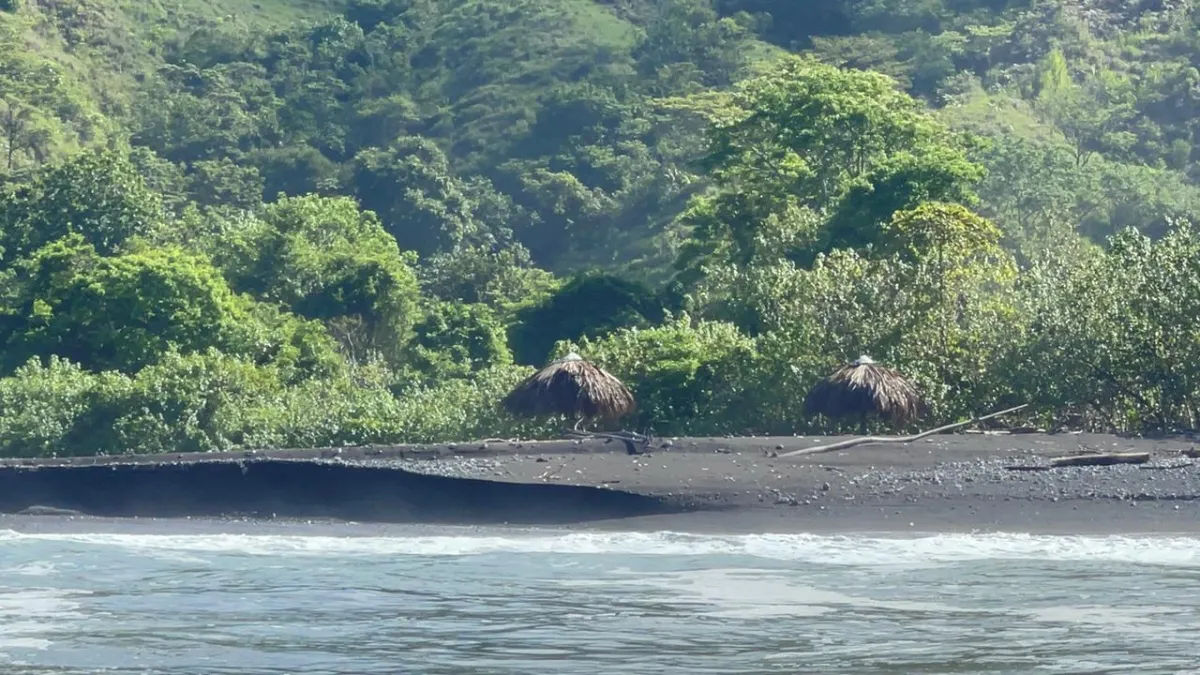 Propiedades de Bosque y Playa en Panamá para la venta; Mata Palo, Cerro Hoya. Veraguas.