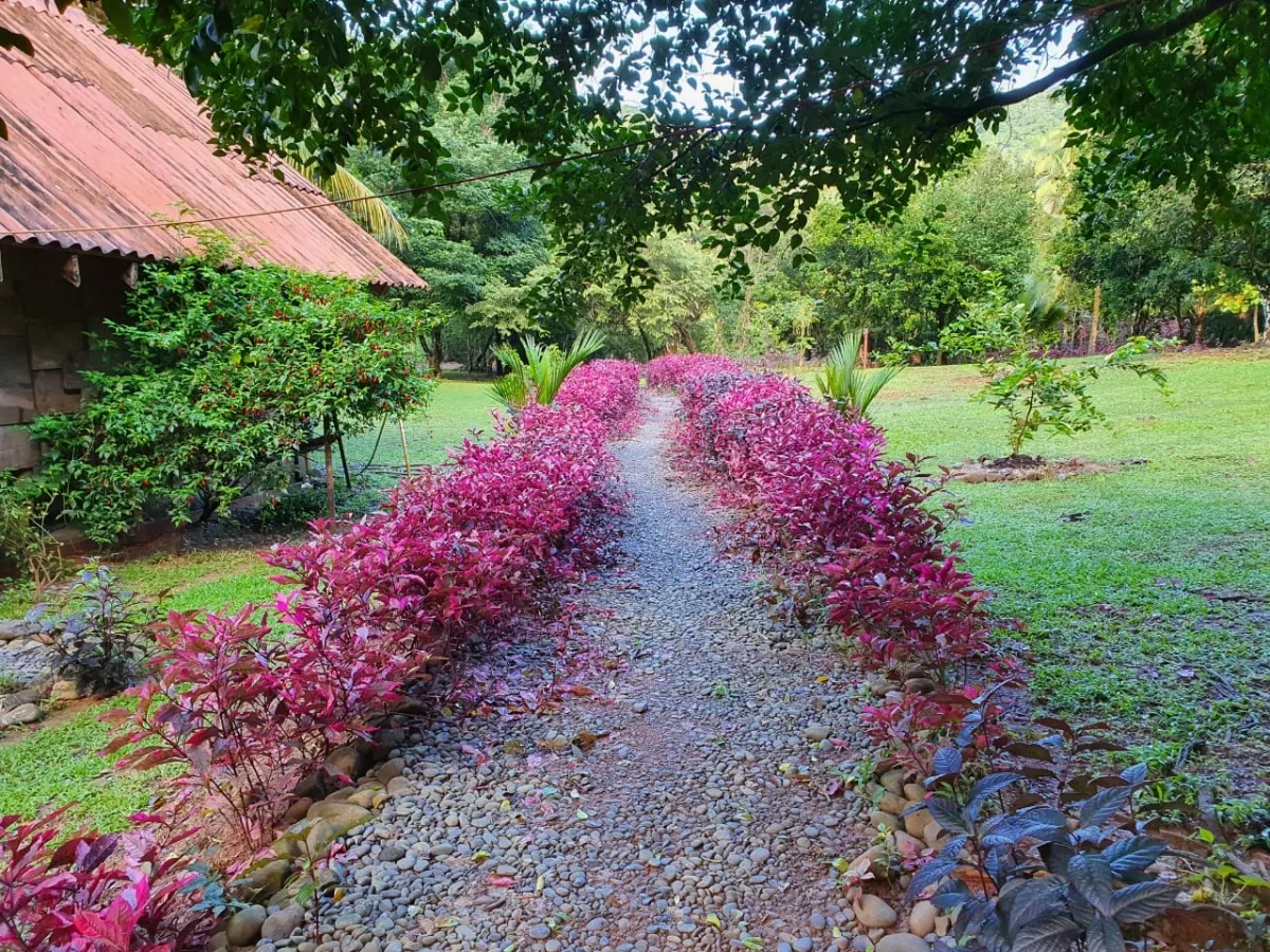 Propiedades de Bosque y Playa en Panamá para la venta; Mata Palo, Cerro Hoya. Veraguas.