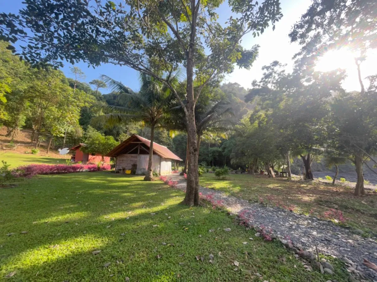 Propiedades de Bosque y Playa en Panamá para la venta; Mata Palo, Cerro Hoya. Veraguas.