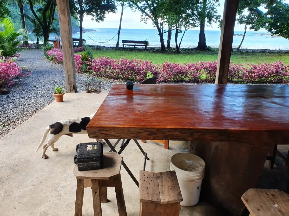 Propiedades de Bosque y Playa en Panamá para la venta; Mata Palo, Cerro Hoya. Veraguas.