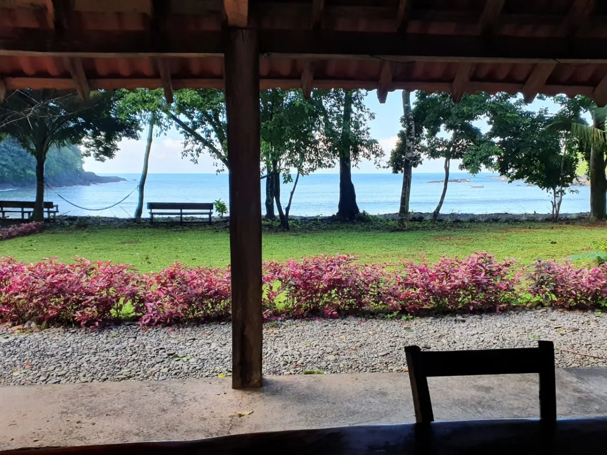 Propiedades de Bosque y Playa en Panamá para la venta; Mata Palo, Cerro Hoya. Veraguas.