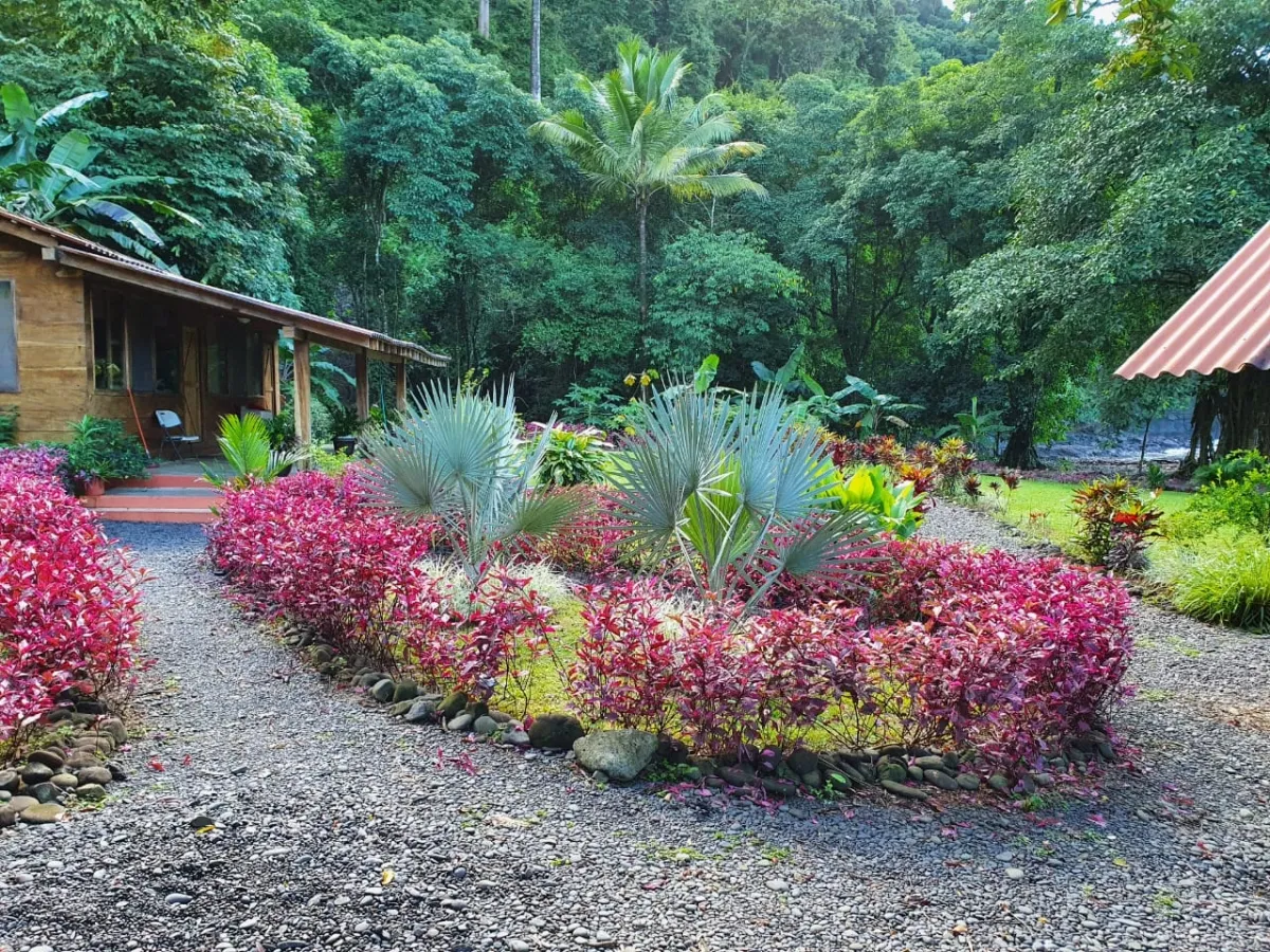 Propiedades de Bosque y Playa en Panamá para la venta; Mata Palo, Cerro Hoya. Veraguas.