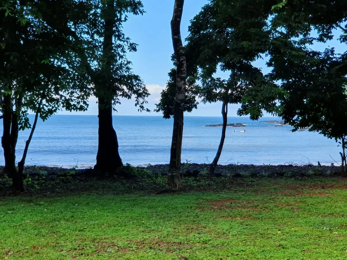 Propiedades de Bosque y Playa en Panamá para la venta; Mata Palo, Cerro Hoya. Veraguas.