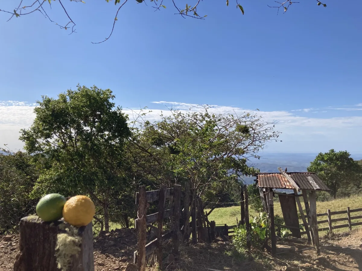 Finca ganadera o escondite privado con impresionantes vistas
