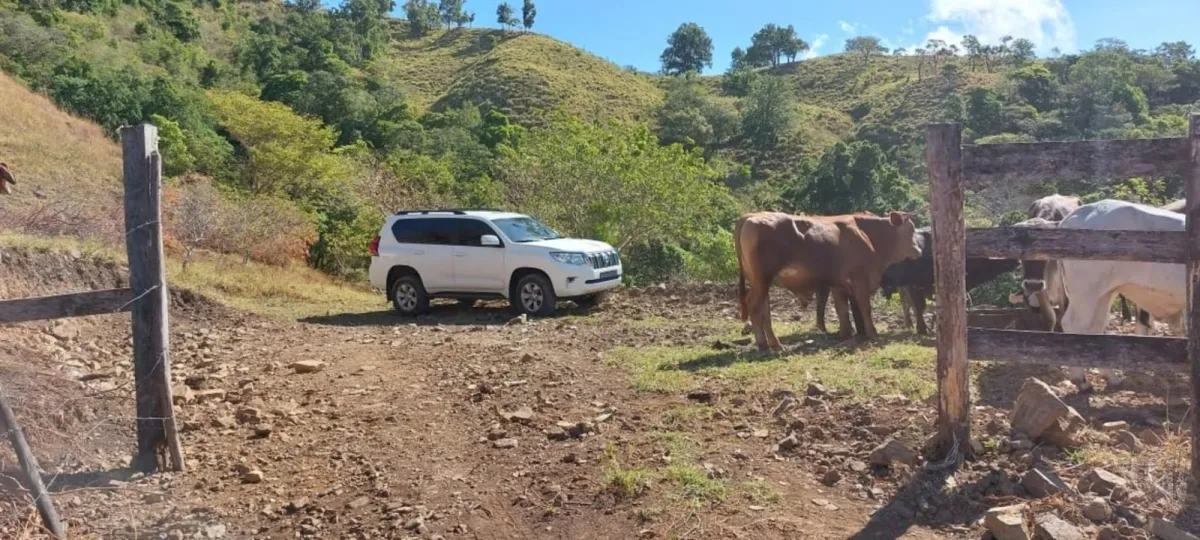 Finca ganadera o escondite privado con impresionantes vistas