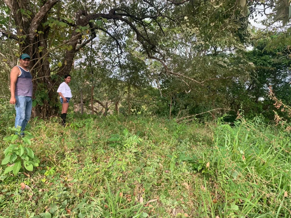 INCREIBLE OPORTUNIDAD DE COMPRAR UN LOTE DE TERRENO A UN EXCELENTE PRECIO. 19 HECTERAS (46.95 ACRES) SAN LORENZO, VERAGUAS.