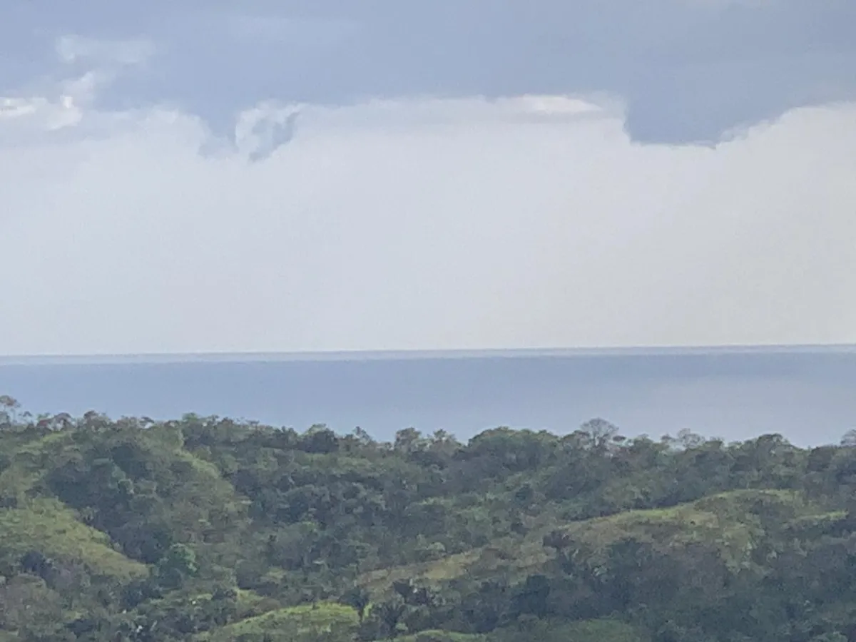 INCREIBLE OPORTUNIDAD DE COMPRAR UN LOTE DE TERRENO A UN EXCELENTE PRECIO. 19 HECTERAS (46.95 ACRES) SAN LORENZO, VERAGUAS.