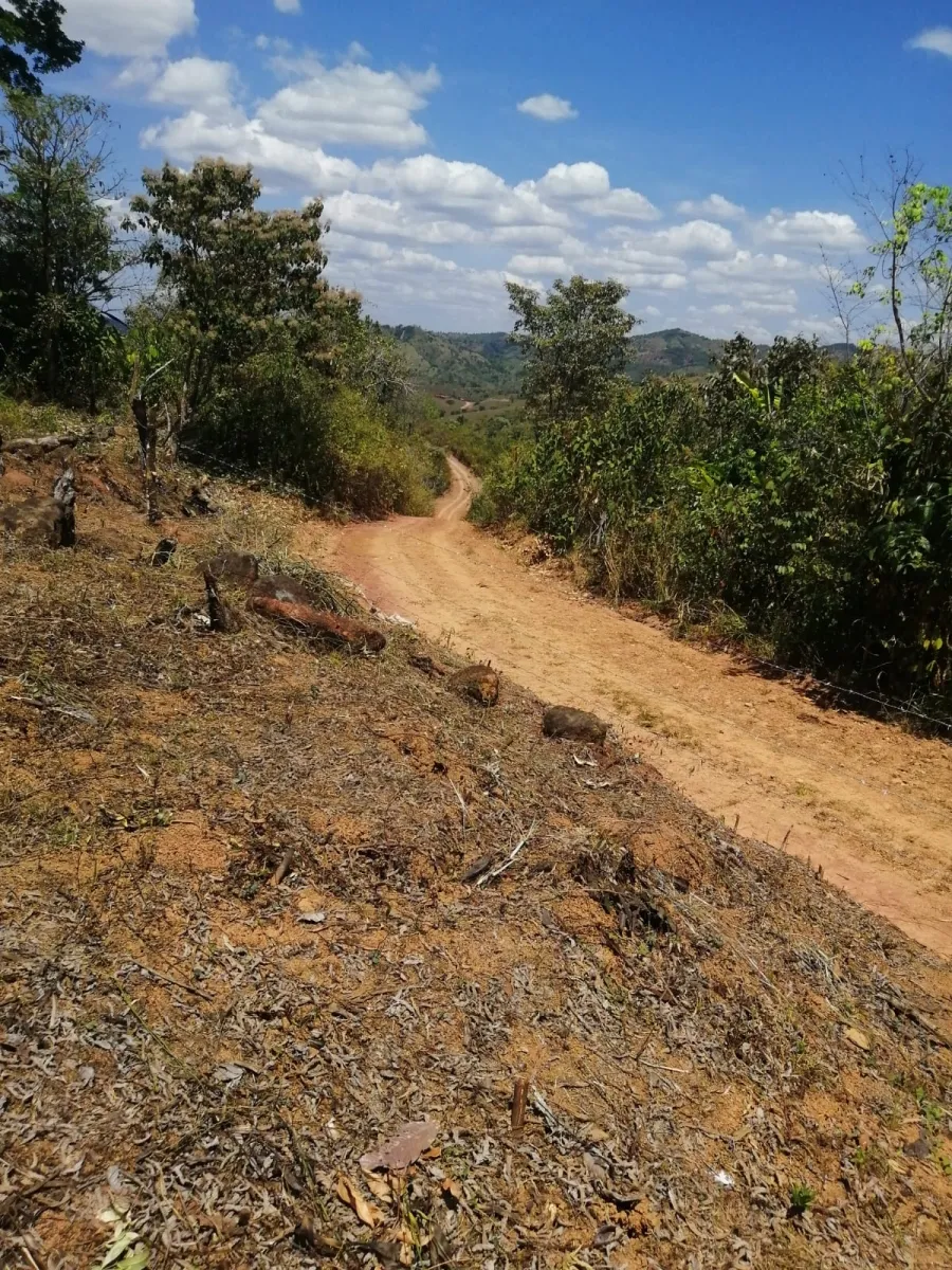 FINCA EN VENTA EN LAS PALMAS DE VERAGUAS, SECTOR LA PIFA.