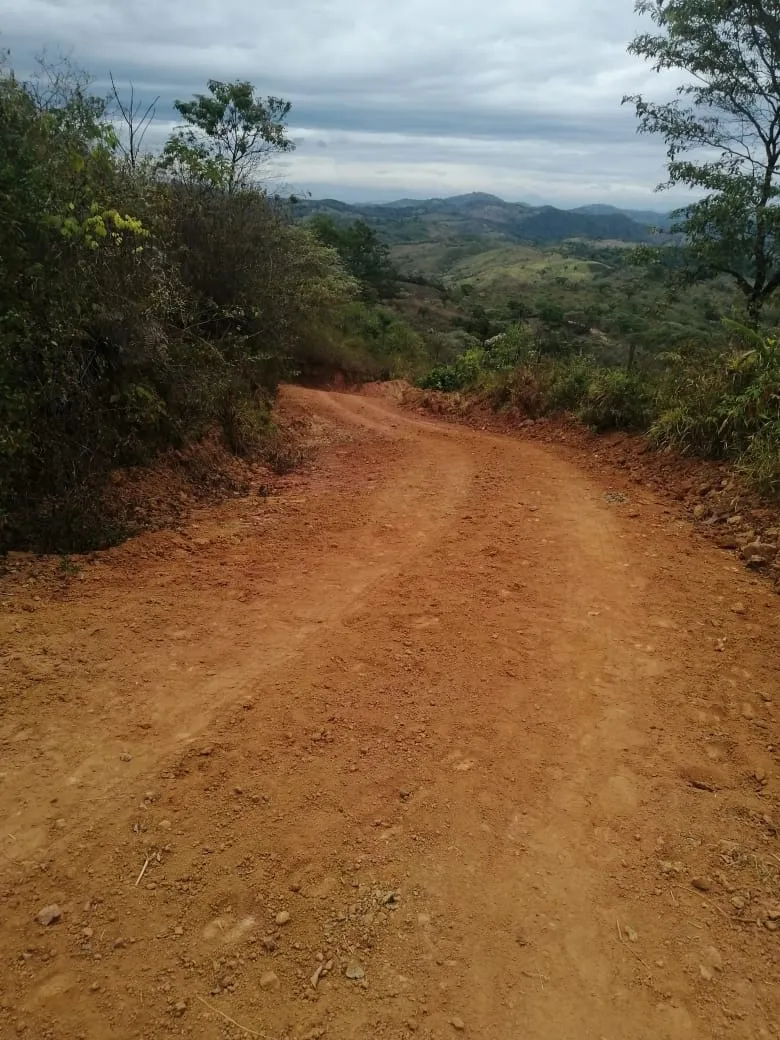 FINCA EN VENTA EN LAS PALMAS DE VERAGUAS, SECTOR LA PIFA.