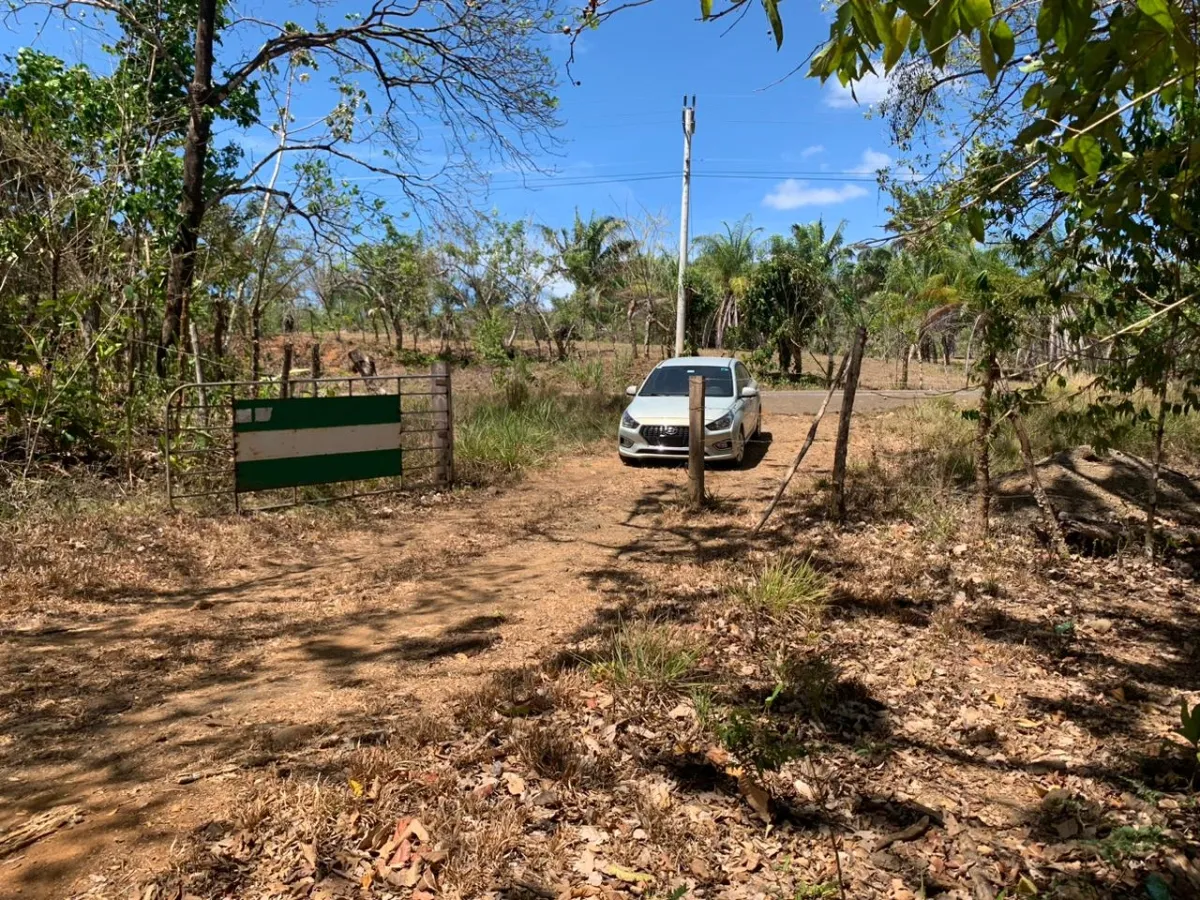 SE VENDE PROPIEDAD DE 8 HECTAREAS ( 19.76 ACRES). EL TIGRE AMARRILLOS ...