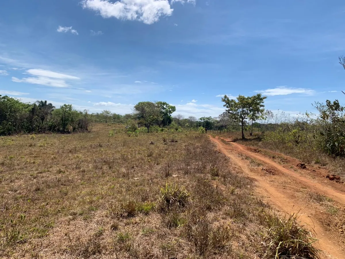 SE VENDE PROPIEDAD DE 8 HECTAREAS ( 19.76 ACRES). EL TIGRE AMARRILLOS ...