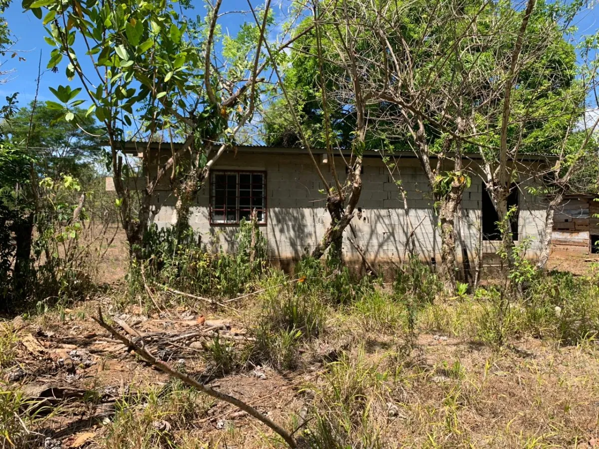 SE VENDE PROPIEDAD DE 8 HECTAREAS ( 19.76 ACRES). EL TIGRE AMARRILLOS , VERAGUAS.