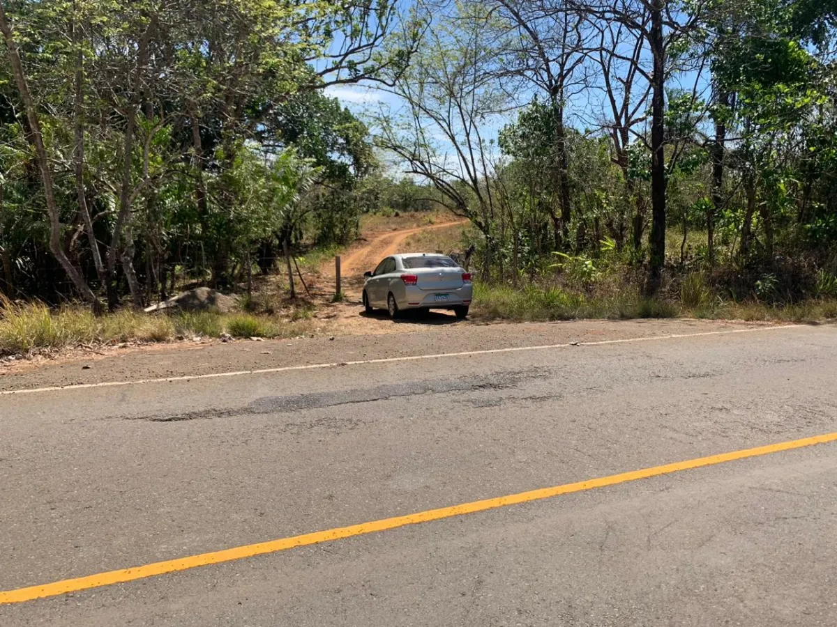 SE VENDE PROPIEDAD DE 8 HECTAREAS ( 19.76 ACRES). EL TIGRE AMARRILLOS , VERAGUAS.
