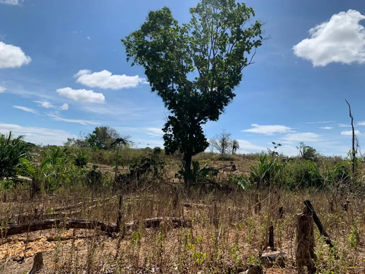 SE VENDE PROPIEDAD DE 8 HECTAREAS ( 19.76 ACRES). EL TIGRE AMARRILLOS , VERAGUAS.