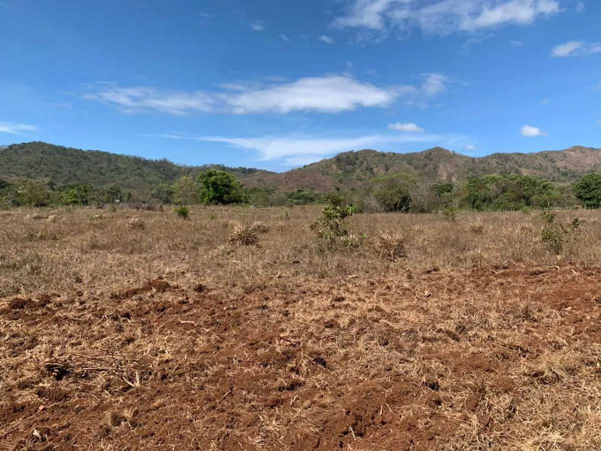 SE VENDE PROPIEDAD DE 8 HECTAREAS ( 19.76 ACRES). EL TIGRE AMARRILLOS , VERAGUAS.