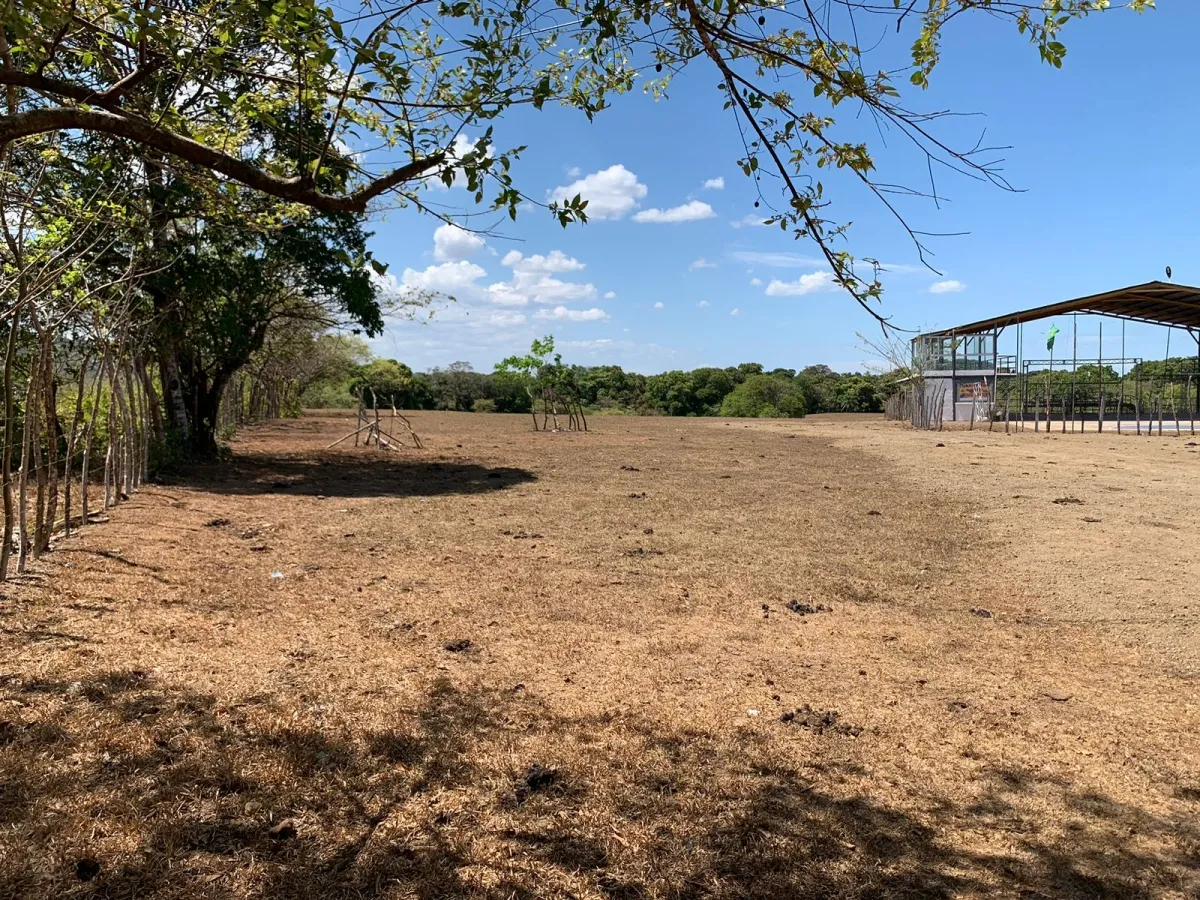 PROPIEDAD EN VENTA FRENTE A LA CARRETERA PRINCIPAL, HICACO-LAGARTERO. ...