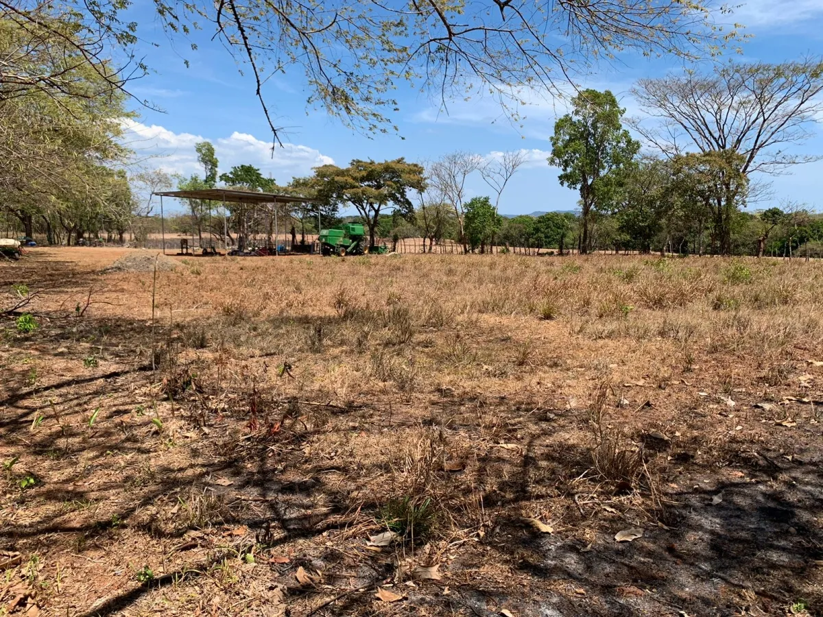 PROPIEDAD EN VENTA FRENTE A LA CARRETERA PRINCIPAL, HICACO-LAGARTERO. ...