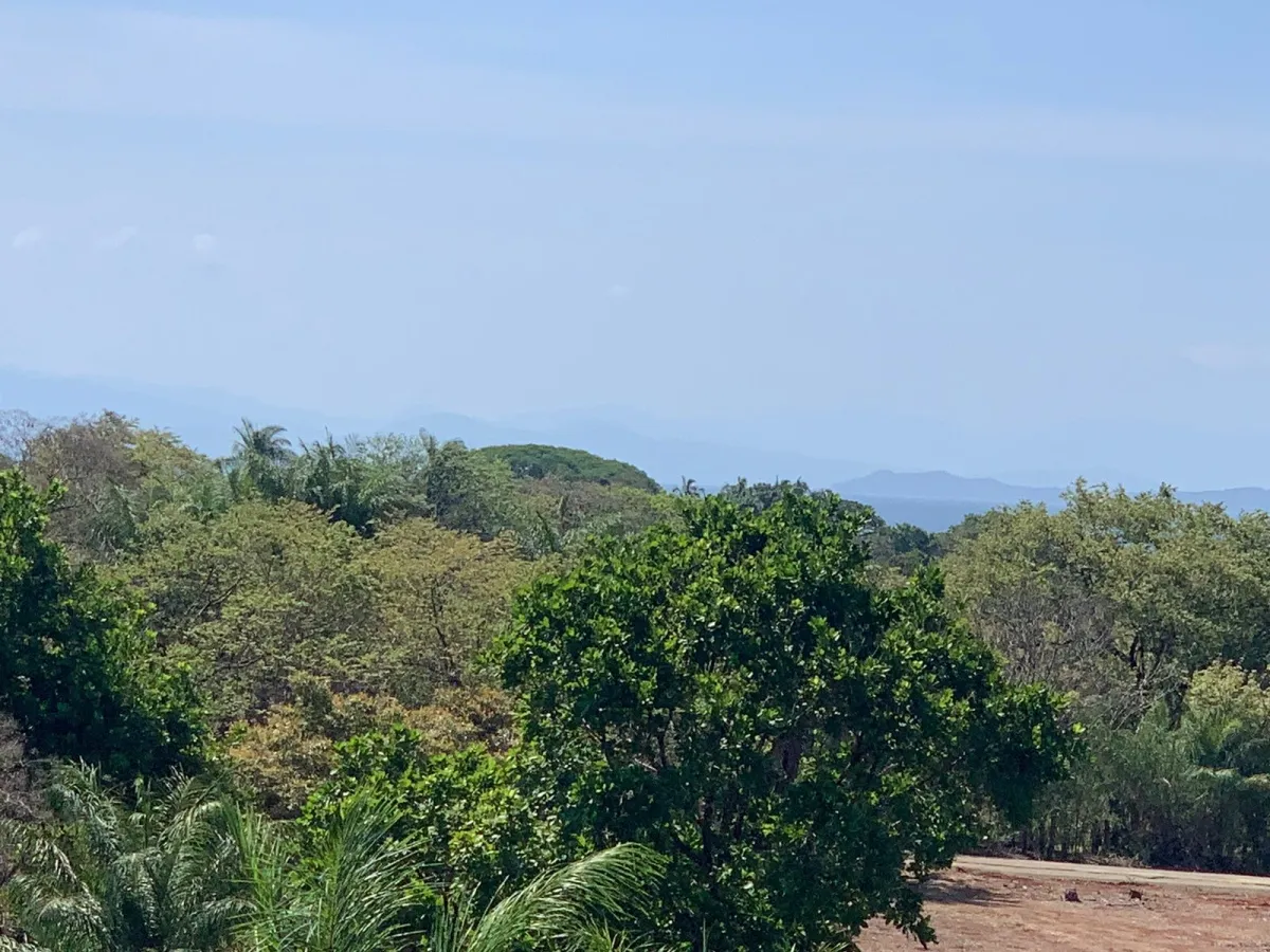PROPIEDAD CON VISTAS AL MAR EN SANTA CATALINA (ZONA LAGARTERO), DE 1,2 HECTÁREAS - PRECIO DE GANGA.