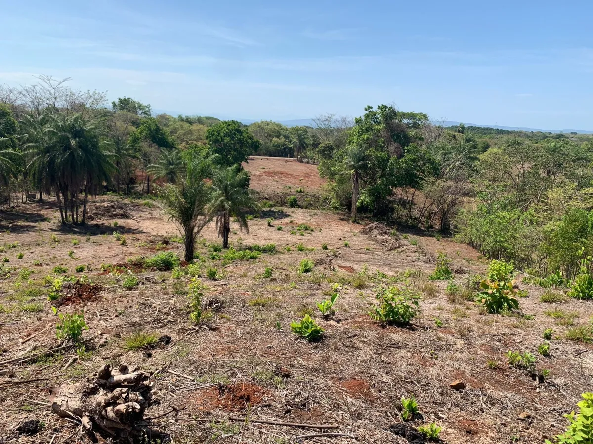 PROPIEDAD CON VISTAS AL MAR EN SANTA CATALINA (ZONA LAGARTERO), DE 1,2 HECTÁREAS - PRECIO DE GANGA.