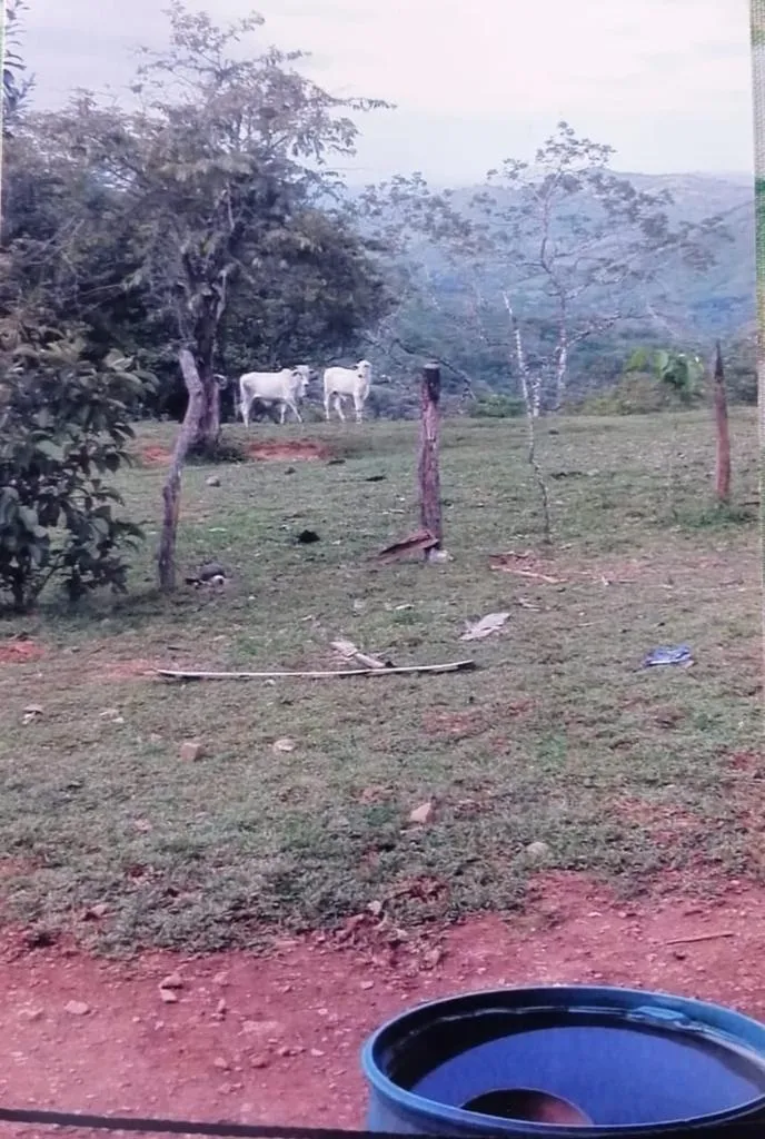 SE VENDE EXTENSA PROPIEDAD DE 412 HECTÁREAS (1,018 ACRES) CATIVE, SONÁ...