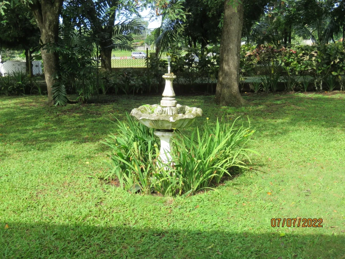 Lote comercial en la carretera Interamericana en David