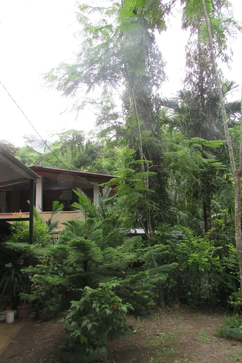 LA CASCADA EL ZUMBON