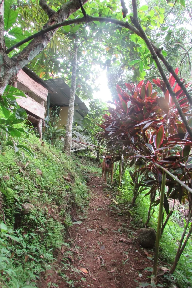 LA CASCADA EL ZUMBON