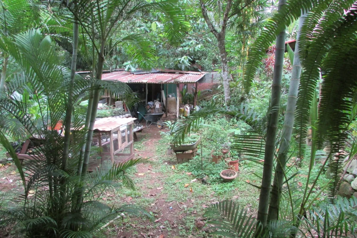 LA CASCADA EL ZUMBON
