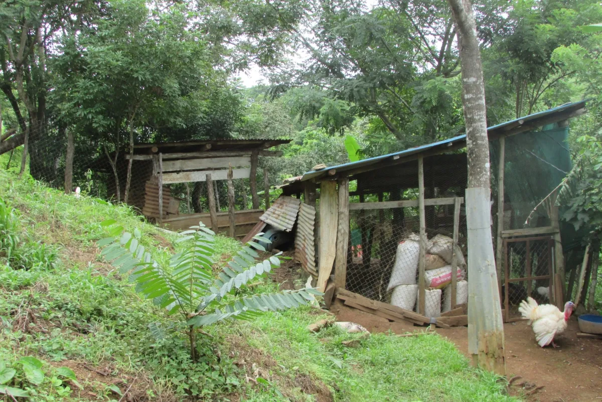 LA CASCADA EL ZUMBON